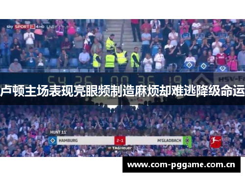 卢顿主场表现亮眼频制造麻烦却难逃降级命运 卢顿主场表现亮眼频制造麻烦却难逃降级命运